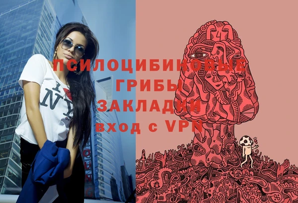 первитин Балахна