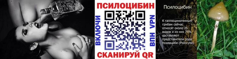 Псилоцибиновые грибы прущие грибы  Галич 
